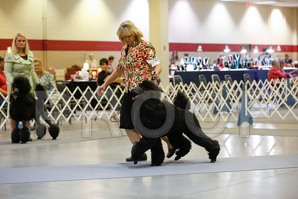 _JJ_0004-AmarilloSept2014-HR3