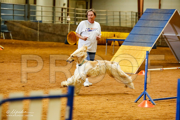 _MJ_2267-AfgBeltonOct2014-HR3