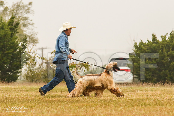 _MJ_3230-AfgBeltonOct2014-HR3