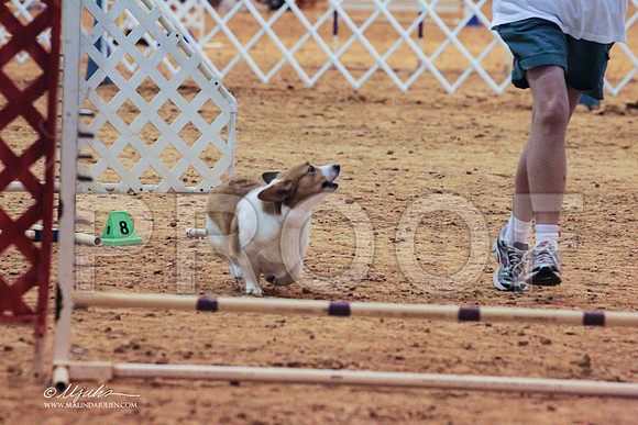 CorgPW-7918 PROOF