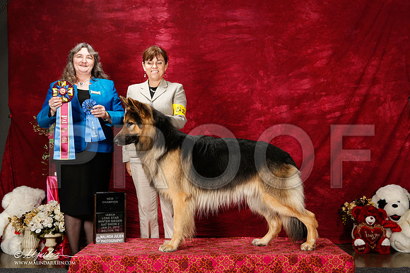 _ST_2906-2-BeltonJan2015IABCA-HR3