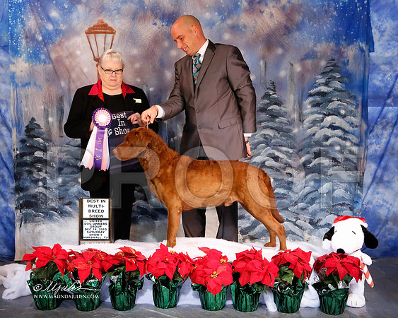chessie-6189-MrshlDec13-HR