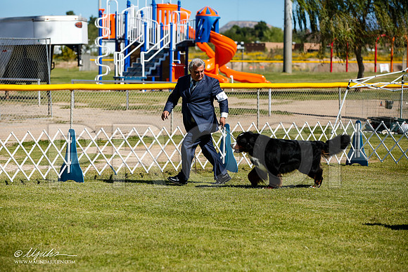 _JJ_0021-AlamogordoOct2014-HR3