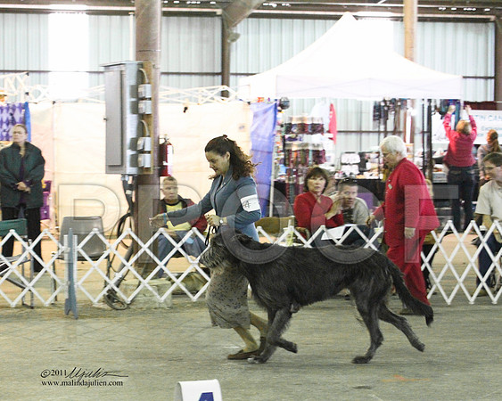 Group Hound Saturday - 0001