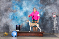 Whippet #10 Fri WB Judge Ann Roth