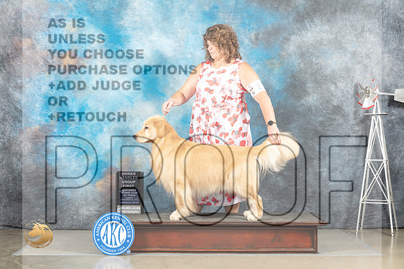 Golden Retriever #11 Sun OHG1 Judge Eric Liebes_MJ_5255_Amarillo_2022_HR3