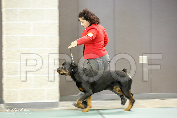 _JN_2126-BeltonJan2015-HR3