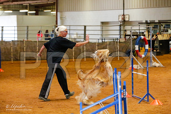 _MJ_2391-AfgBeltonOct2014-HR3