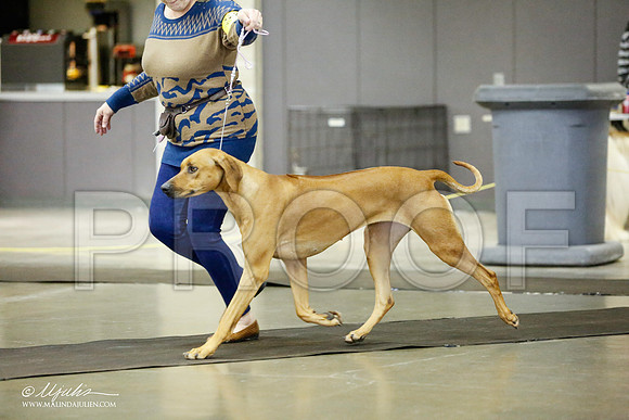 _RH_1412-BeltonJan2015IABCA-HR3