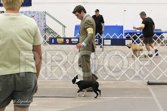 Boston-6387LR