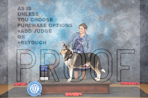 Collie Smooth #5 Sun G1 Judge Beth Dowey__JP_0932_Sulphur Springs_2024_HR3