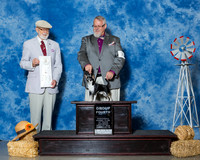 Chihuahuas #7 Sat G4 Brock David L Michael Sweeney Judge Dr Dale D Simmons