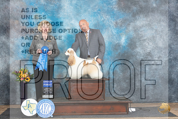Cocker Spaniel Parti #5 Sunn G1 Judge Vicki Abbott__JP_0052_Abilene_2024_HR3