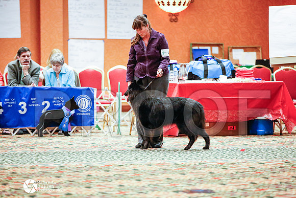 _N9A1066-TulsaApr14-HR3