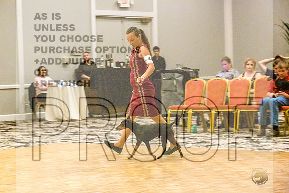 Manchester Terrier MTOY Candids-JJL_2156-Hstn2022_HR3