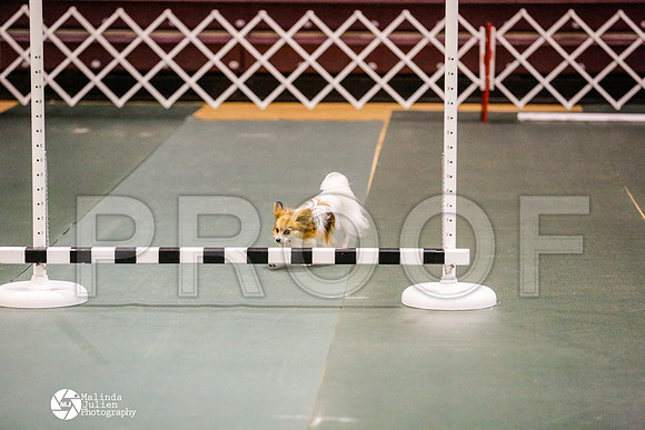 _RH_9163-BsrCtyJun2014-HR3