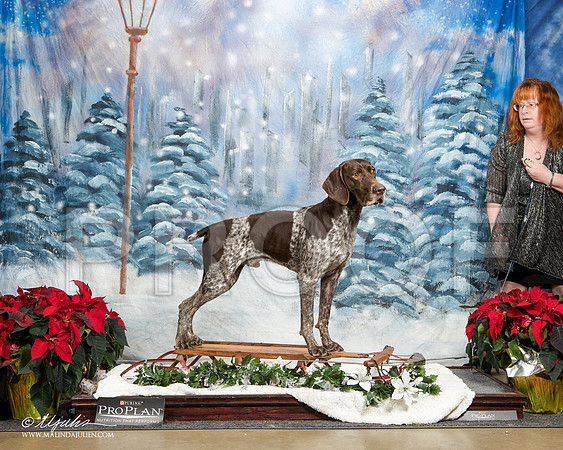 _ST_9093-DallasDec2014-HR3