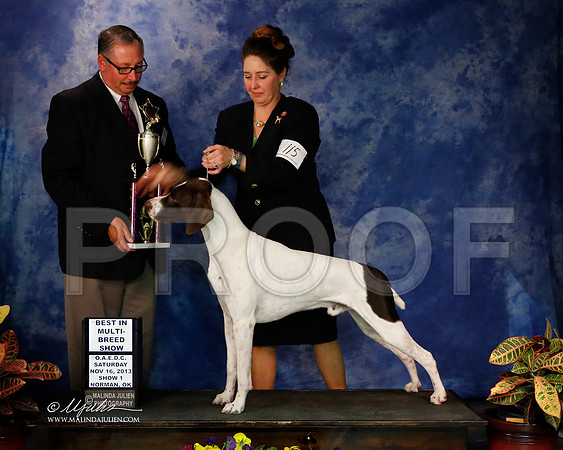 GSP-2-25-NormNov2013-HR