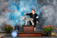 Bedlington Terrier #8 Sunn BPupBIS Judge Christie Martinez