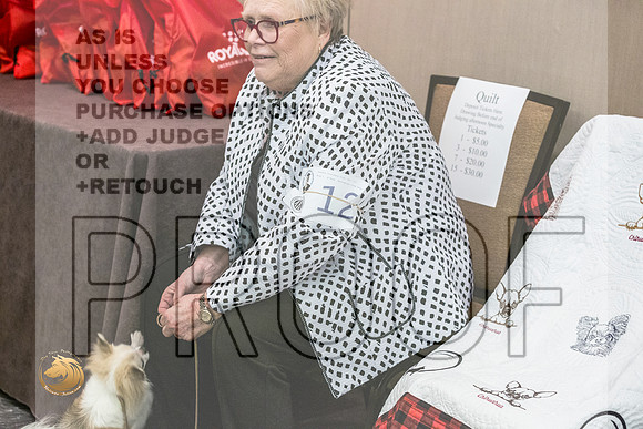 Chihuahua Long Coat #12 FriJJL_3807_HstnTOY_2022_HR3