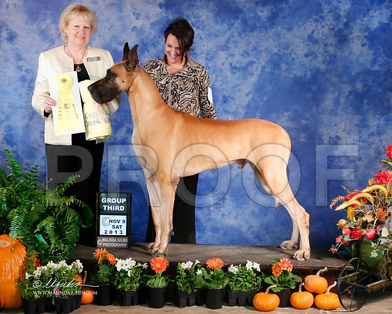 Dane-3958-HstnNov13-HR