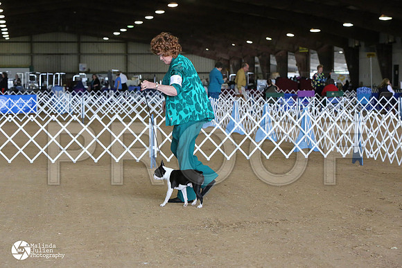 MJ2_5983-HstnMar2014-HR3