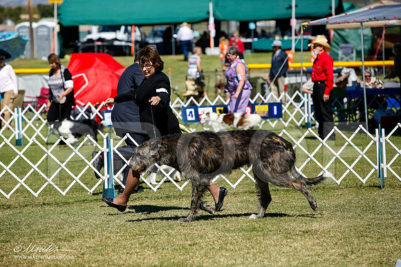 _JJ_0659-AlamogordoOct2014-HR3