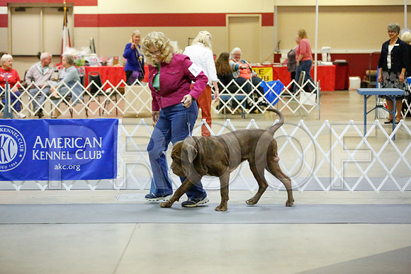 _JJ_6790-AmarilloSept2014-HR3