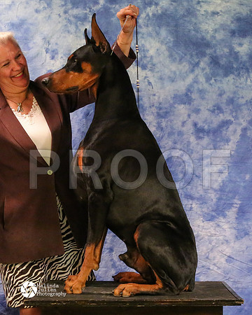 dobe-8191-MidFeb14-HR