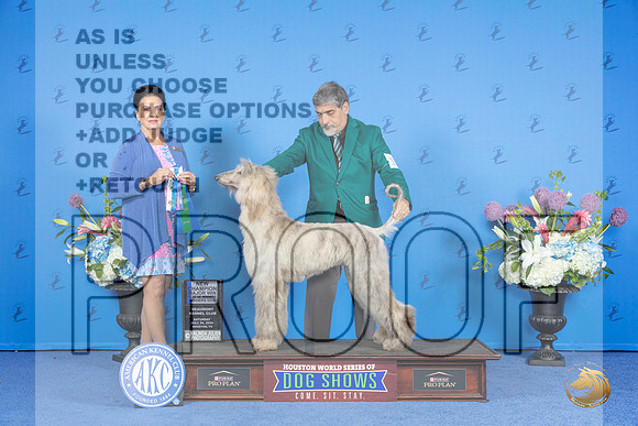 Afghan Hound #17 SAY WD BOW NC M Judge Debbie Freeman__JP_0018_Houston_2024_HR3