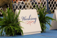 Working Saturday PROOF FW Mar 2012