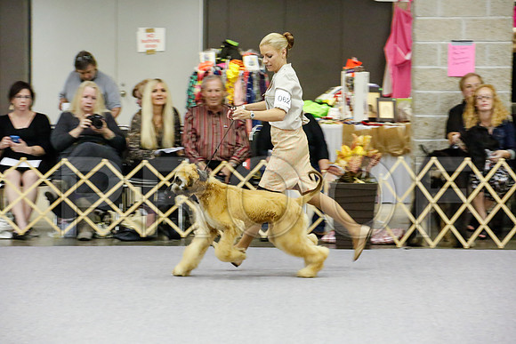 _JJ_9226-AfgBeltonOct2014-HR3