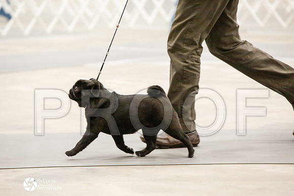 _CK_5980-AblnMay2014-web