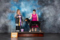 LCLD #125 Fri BIS Judge Tracey Kallas