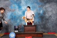 Beagle #10 Sun WB JUdge Beth Downey