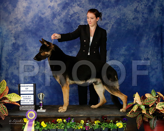 GSD-9373-NormNov13-HR