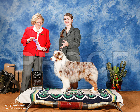 _ST_0915-2-GlenRoseJan2015-HR3