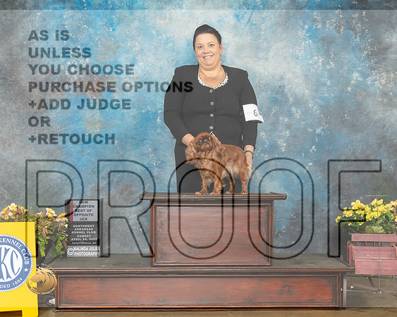English Toy #6 Sun BOSNCh Judge John Ramirez-MMJ_1434-NWARK2022-HR3