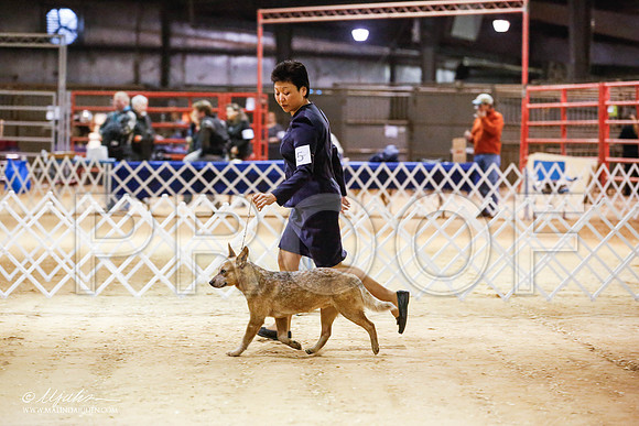_JN_4396-2-GlenRoseJan2015-HR3