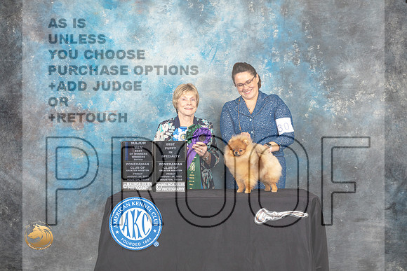 Pomeranian #30 Fri WBBOWBP Judge Sharon Masnick_MJ_9781_HstnTOY_2022_HR3