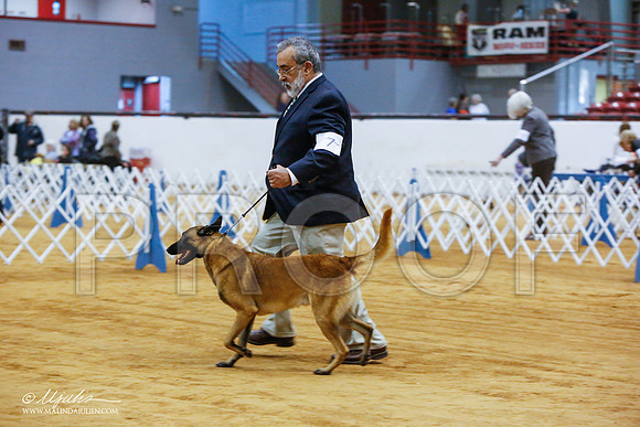 _JN_5709-GlnRoseJan2015-HR3