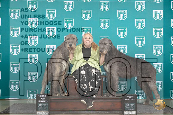 Irish Wolfhound #849 851__JP_1161_Premier_2024_HR3