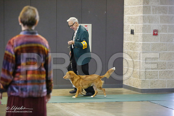 _LH_3076-BeltonJan2015-HR3