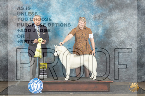 Siberan Husky #6 Sun G3 Judge David Bolus__JP_3967_Lubbock_2024_HR3