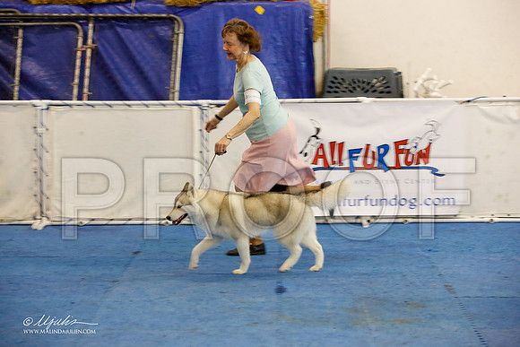 _M3_1632-AddisonHuskyMar2015-HR3