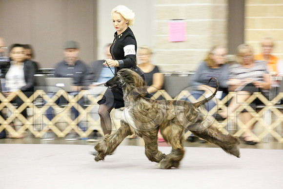 _JJ_9059-AfgBeltonOct2014-HR3