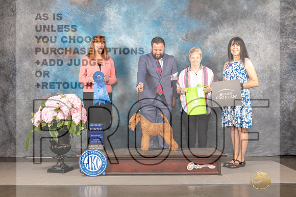 Lakeland Terrier #6 Sun G1 Judge Linda Hurlebaus_MJ_8335_Houston_2022_HR3