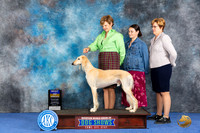 Saluki #9 Wed BO Judge Barbara Scherer
