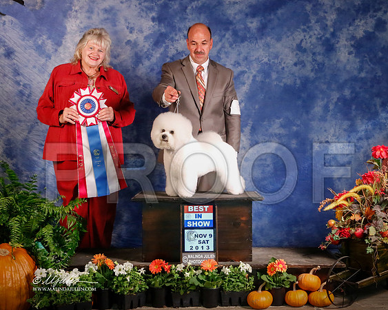 Bichon-4815-HstnNov13-HR