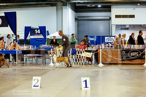 _JJ_8823-HstnJul2014-HR3